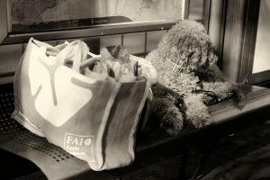 Hundeführerschein & ÖPNV: Regeln 2025